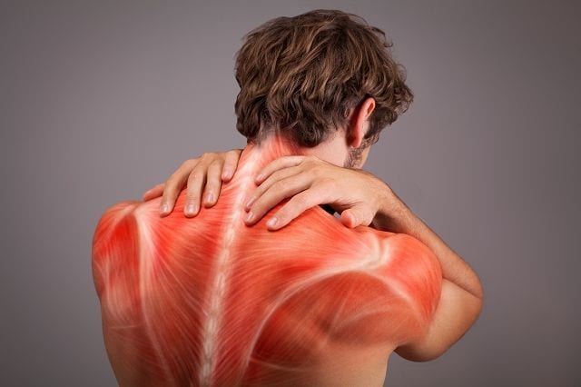 Häufig wird durch eine verhärtete Muskulatur oder verklebte Faszien Druck auf Nerven ausgeübt, die dann Schmerzen zur Folge haben.