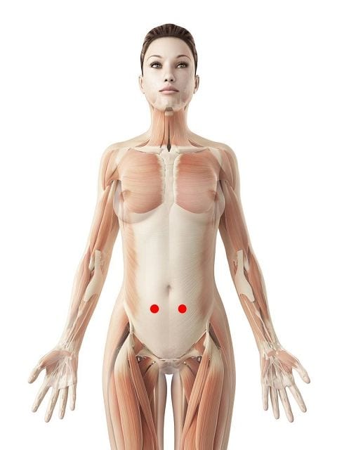 Triggerpunkte in der geraden Bauchmuskulatur verursacht bandförmige Schmerzen im Bauch und Rücken sowie Einschränkungen beim nach hinten lehnen (Rückbeuge)