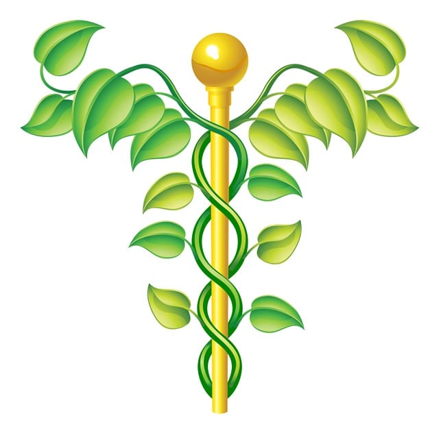 Der Kadukeus ist der Herlodstab des altrömisches Gottes Merkus und symbolisiert die Medizin.